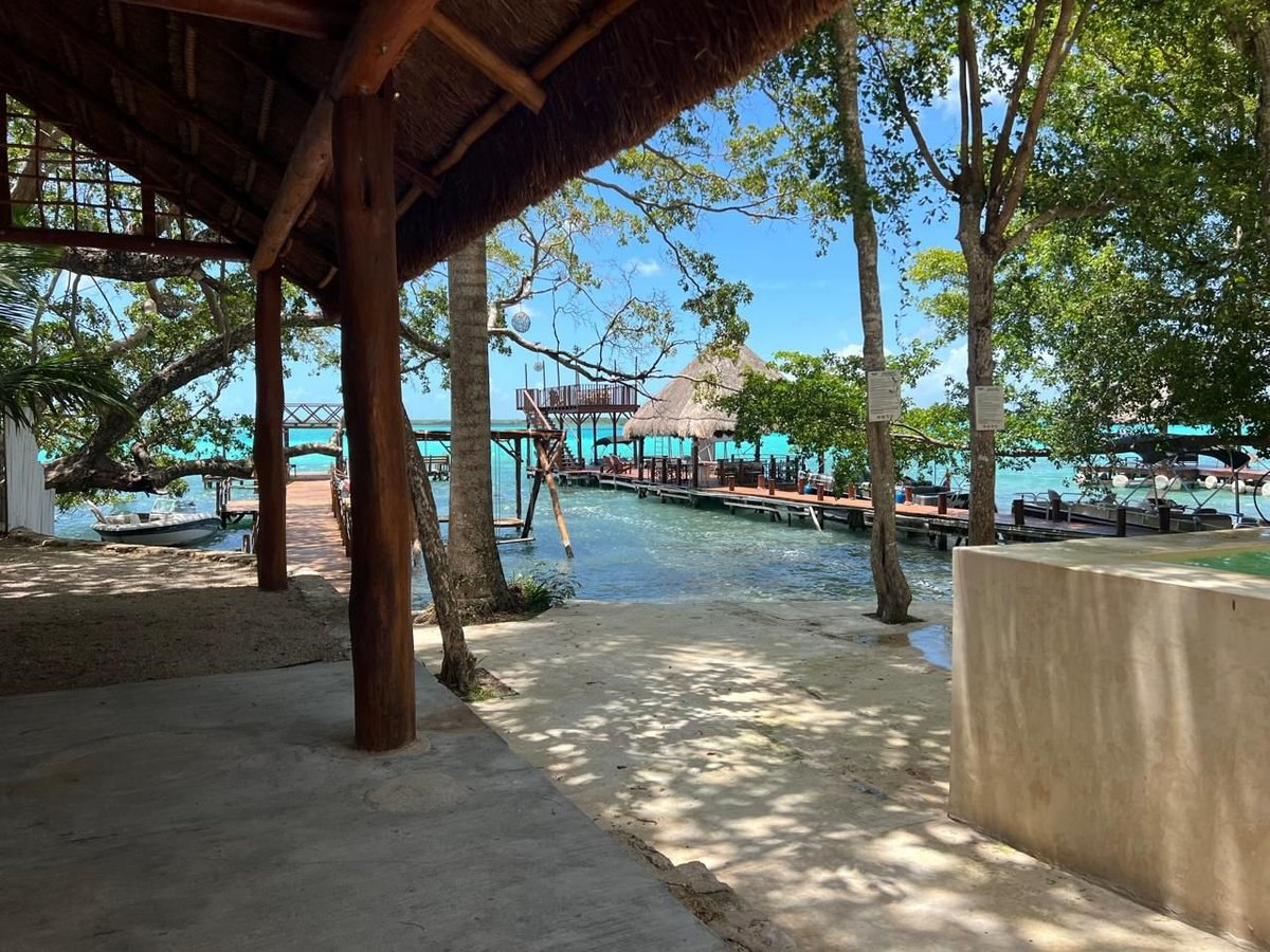 Zona de playa bajo muelle de madera con agua turquesa, árboles altos y área para nadar con barandales metálicos