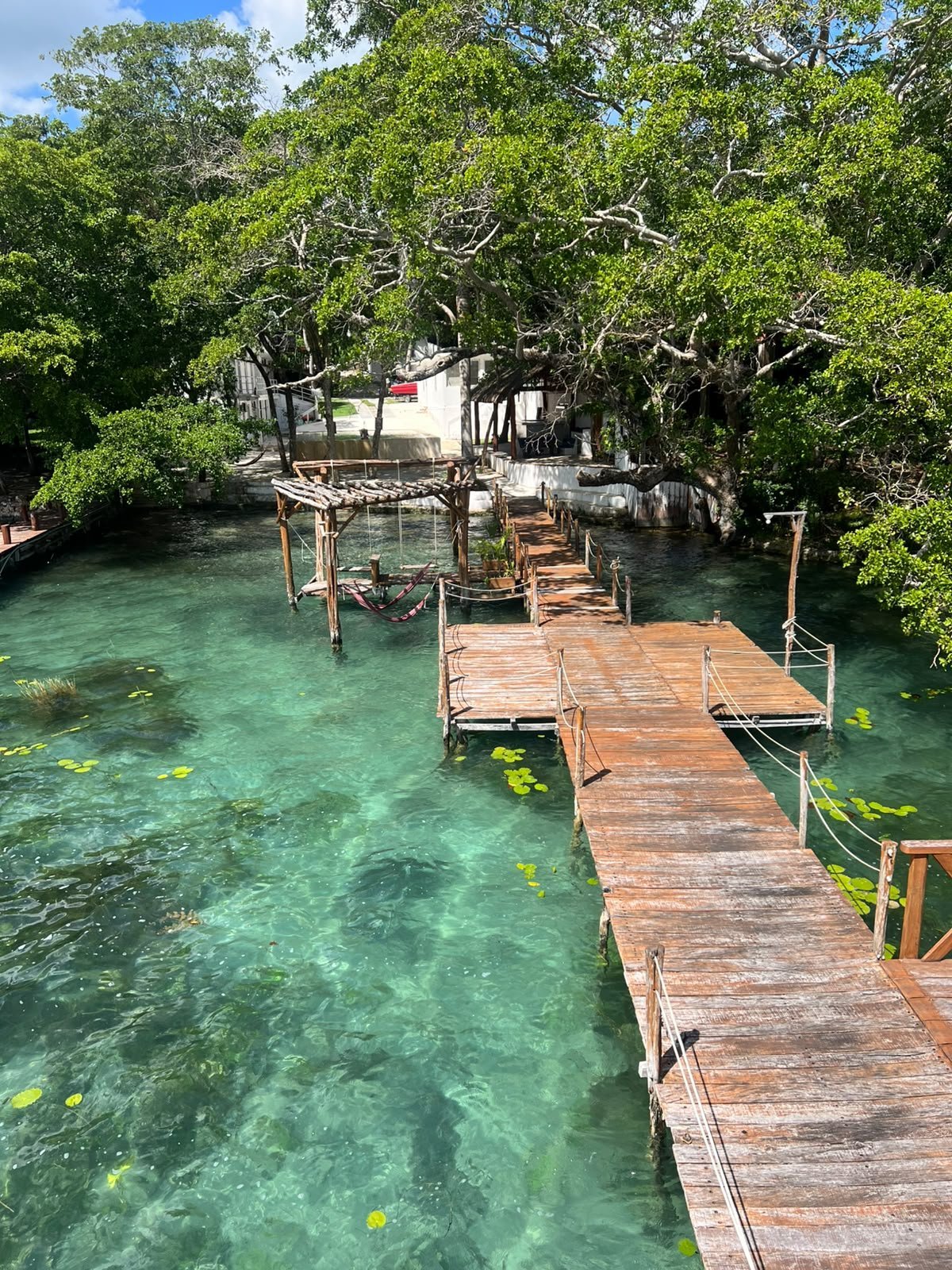 Pasarelas y muelles de madera sobre el agua turquesa rodeados de manglares en la Laguna de los Siete Colores, Bacalar